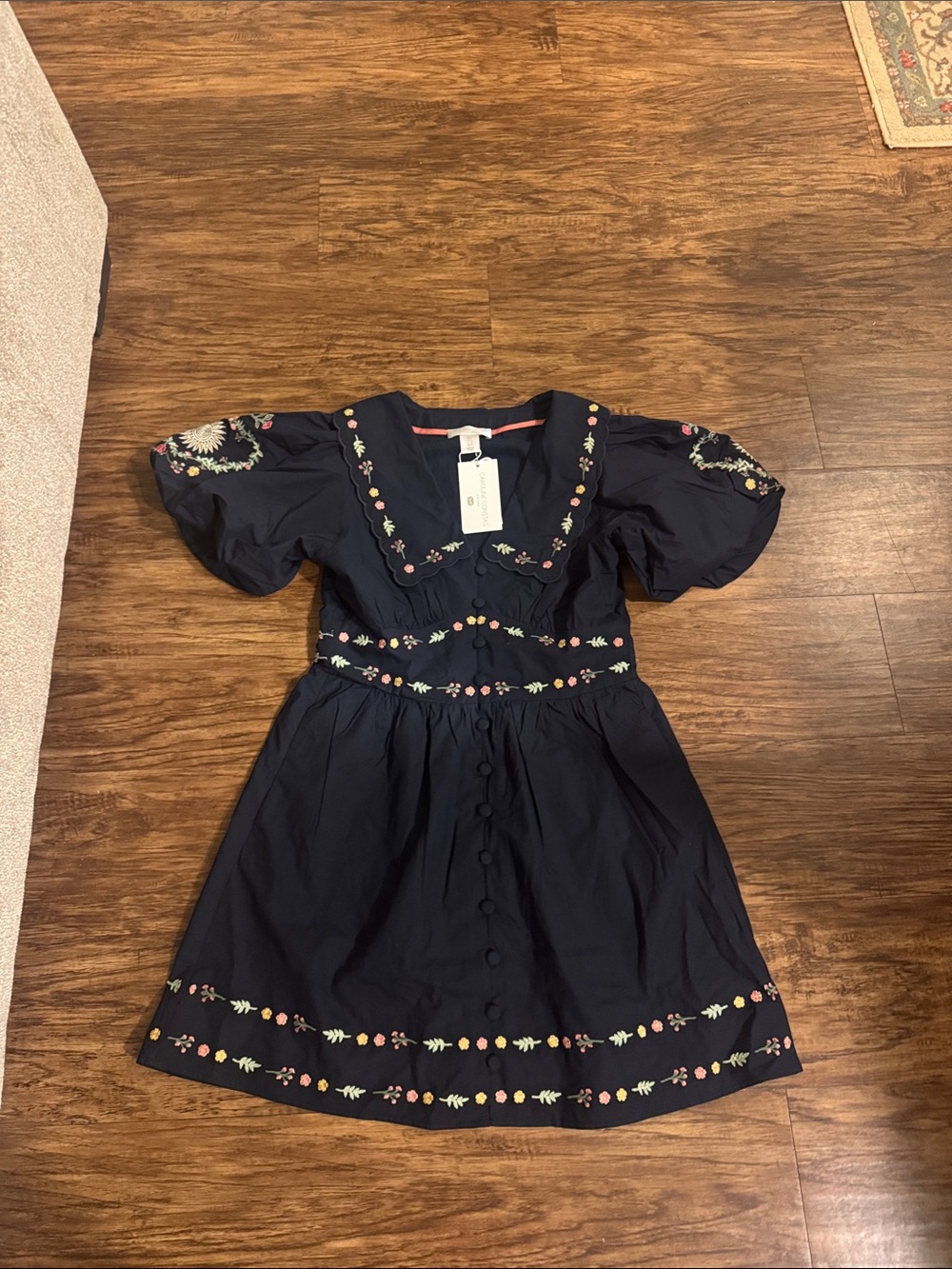 NWT Caroline constas dress size 6